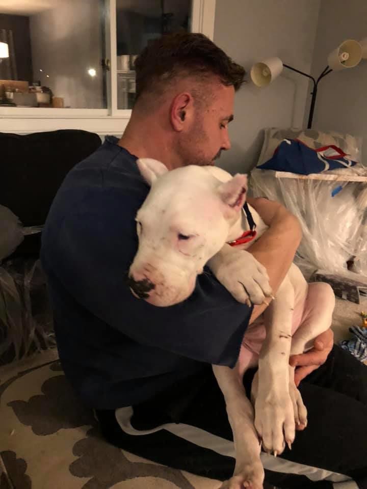 Pet19.jpg